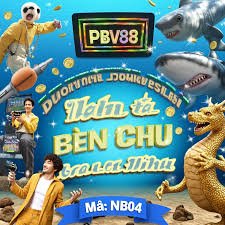 cvb666